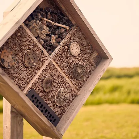 Luxusní stan Dutchen Erfgoedpark De Hoop Glamping *